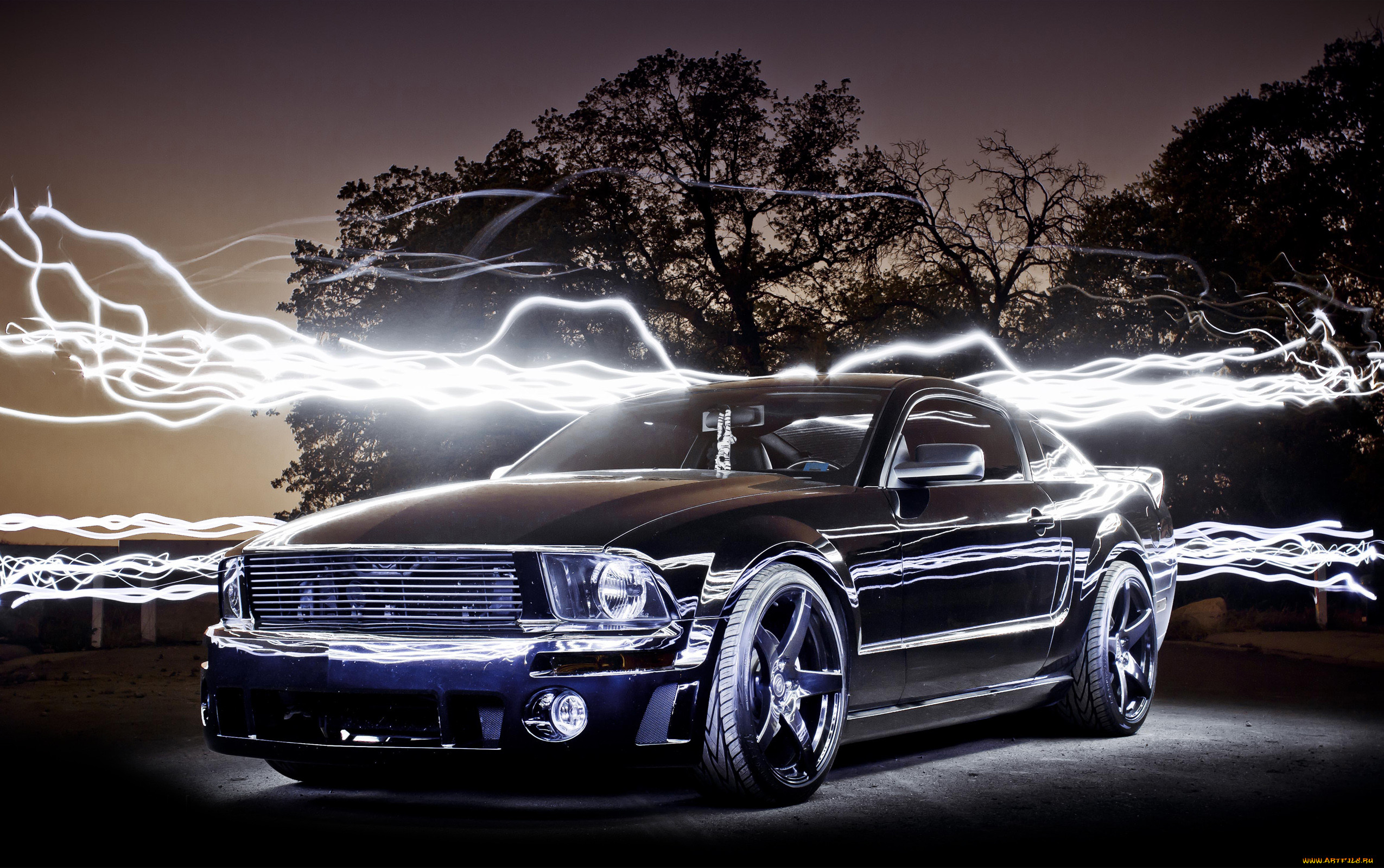 , mustang